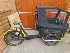 Raleigh stride trike for sale  TAUNTON