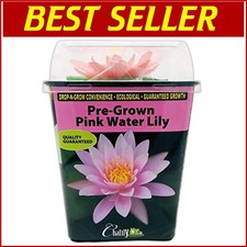 Hardy pink aquatic for sale  Philadelphia