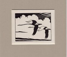Peter scott flying for sale  SPALDING