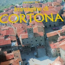 Libro angelo tafi usato  Castiglion Fiorentino