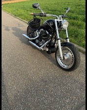 Harley davidson softail gebraucht kaufen  Ludwigsburg