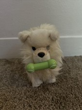 American girl pomeranian for sale  East Amherst