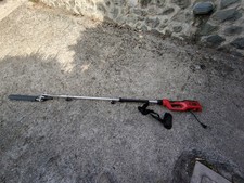Tagliasiepi elettrico einhell usato  Castelnuovo di Garfagnana
