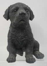 Vivid arts pet for sale  NELSON