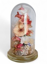 Vintage glass dome for sale  PULBOROUGH