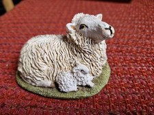 Stef ewe lamb for sale  LONDON