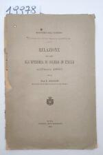 Pagliani relazione intorno usato  Petriolo