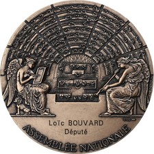 Médaille assemblée nationale d'occasion  Lille-