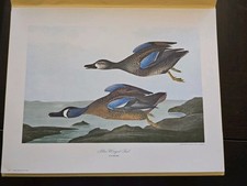 Vintage penn prints for sale  Temecula