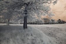 Nikon d40x infrared for sale  SHOREHAM-BY-SEA