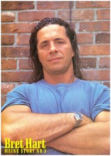 Poster din wrestling gebraucht kaufen  Niesky