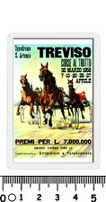 Calamita treviso ippodromo usato  Italia