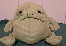 Jellycat ricky rain for sale  WELLINGTON