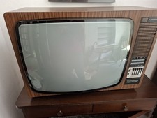 Röhrenfernseher telefunken pa gebraucht kaufen  Bad Dürkheim