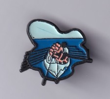 Rare pins pin d'occasion  Ménéac