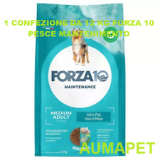 Forza10 cane maintenance usato  Roma
