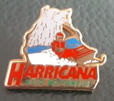 Pin arthus bertrand d'occasion  Besançon
