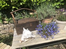 Large rustic wooden for sale  NELSON
