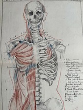 Rare dessin original d'occasion  Neuilly-Plaisance