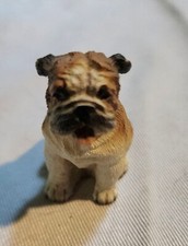 2 bulldogs english for sale  Freeland