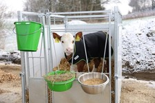 Kälberdecke regendecke thermo gebraucht kaufen  Siegsdorf
