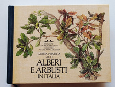 Guida pratica agli usato  Italia