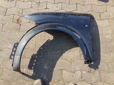 Kotflügel links lackiert gebraucht kaufen  Bad Oeynhausen