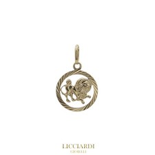 Ciondolo segno zodiacale usato  Marigliano