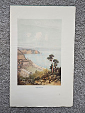 Teignmouth antique print for sale  STAFFORD