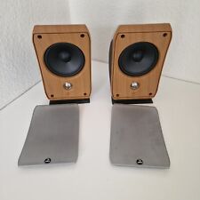 Focal labs sib gebraucht kaufen  Heimenkirch