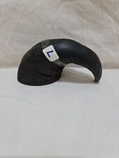 Sheep horn ram for sale  STOKE-ON-TRENT
