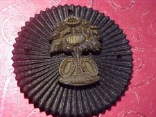United confederate veterans for sale  Oshkosh