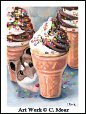 Hamster ice cream d'occasion  Expédié en Belgium