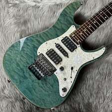 Schecter étui souple d'occasion  Expédié en France