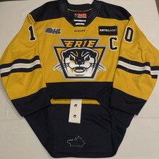 Game worn carey for sale  Imperial