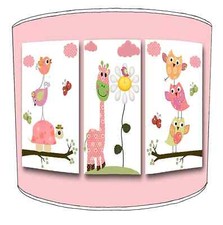 Birds barn owls for sale  BOLTON