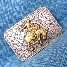 Rodeo cowboys bucking for sale  Torrington