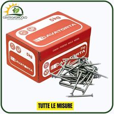 Chiodi acciaio per usato  Monteforte Irpino