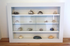 sammlervitrine hangevitrine gebraucht kaufen sammlervitrine hangevitrine gebraucht kaufen München