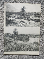 Emek jezreel reclamation for sale Emek jezreel reclamation for sale  STAFFORD