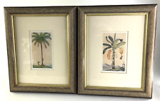 Tropical palm tree for sale  Yonkers
