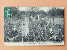 Cpa argenteuil vendanges d'occasion  France