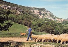 Roquefort soulzon troupeau d'occasion  France
