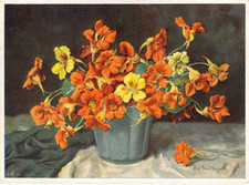 Blumen künstler . gebraucht kaufen Blumen künstler . gebraucht kaufen  Berlin