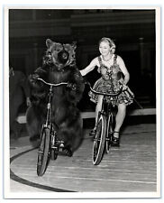 Bear riding bike for sale  BOURNEMOUTH