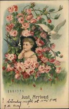 Cartão postal vintage anúncio de nascimento "Acabei de chegar" bebê entre rosas c1910 comprar usado  Enviando para Brazil