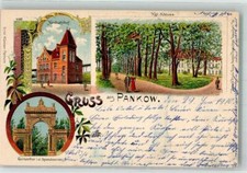 13638099 1100 pankow gebraucht kaufen  Deutschland
