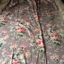 Beautiful cottage roses for sale  BEDWORTH