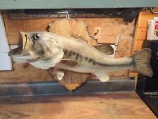 Vintage large mouth for sale  Bean Station