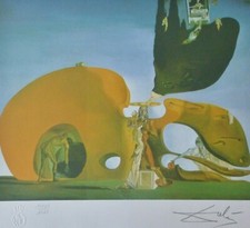 Salvador dali birth for sale  San Diego
